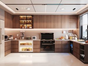 Modern Birch Cabinets