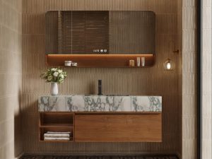 Counter top Vanities Unit