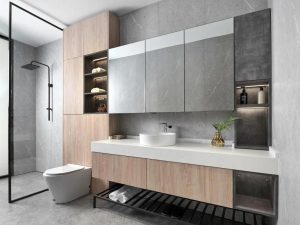 Toilet and Sink Unit