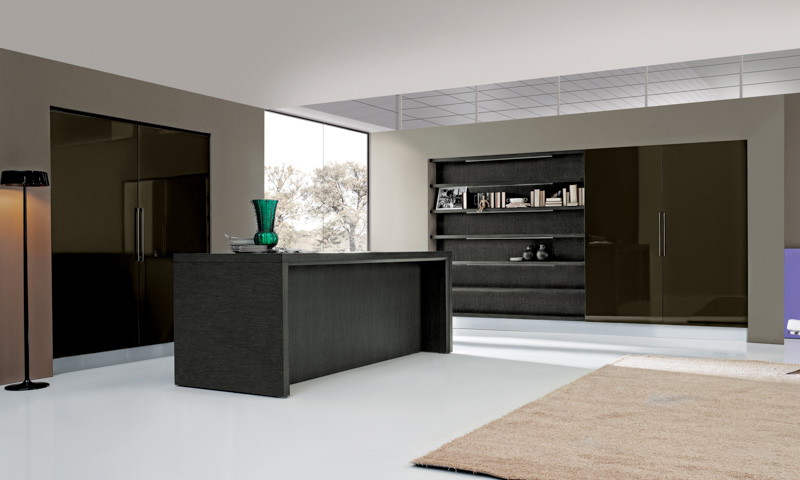 Modern Charcoal Kitchen Cabinets