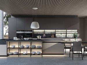 Modern Flat Panel Kitchen Cabinets