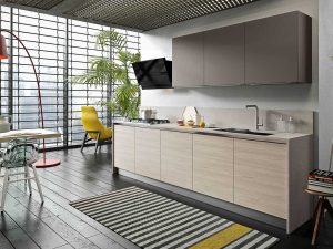 Custom Modern Kitchen Cabinets