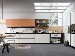 Mid-century Modern Kitchen Cabinets