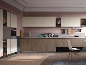 Modern Mahogany Kitchen Cabinets